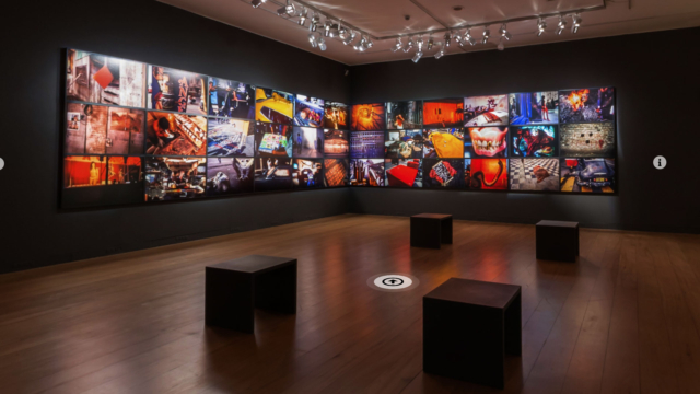 Tour virtual da exposição Miguel Rio Branco. Palavras cruzadas, sonhadas, rasgadas, roubadas, usadas, sangradas, no IMS Rio